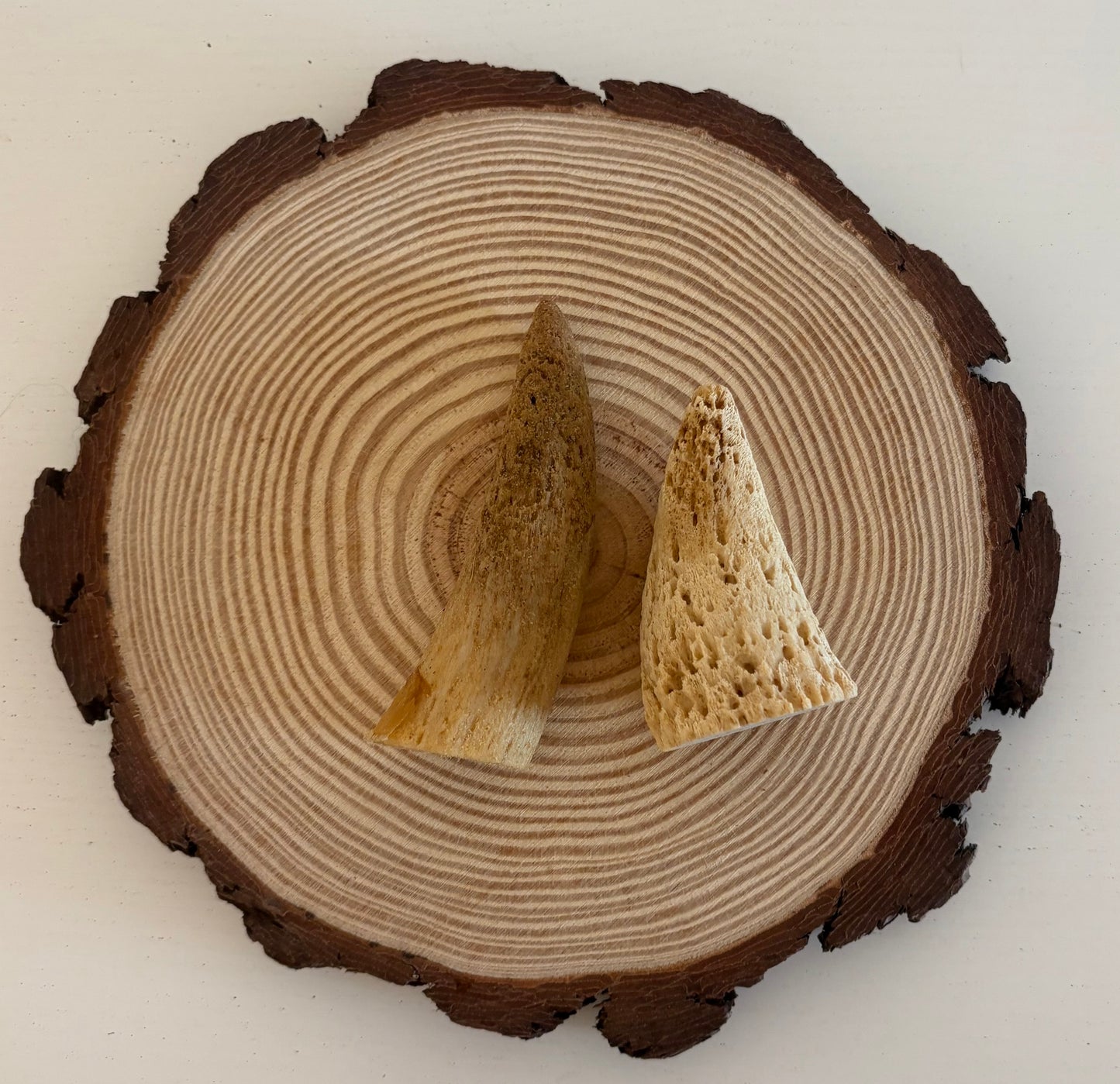 Cow Horn Marrow