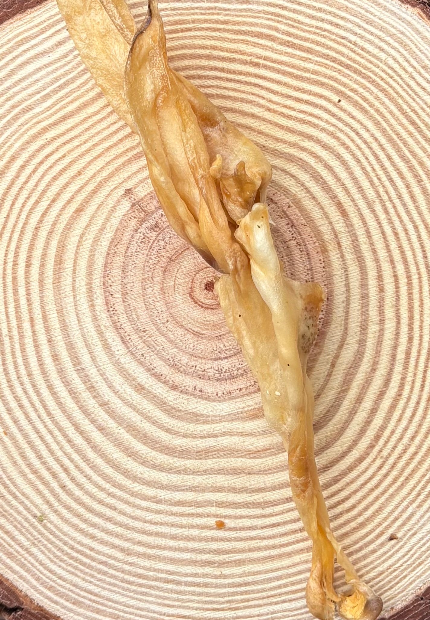 Hairless rabbit ear