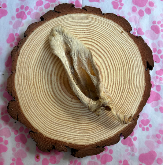 Hairy Lamb ears
