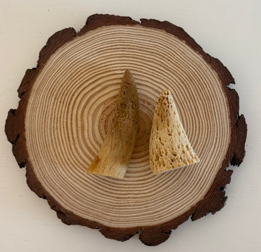 Cow Horn Marrow