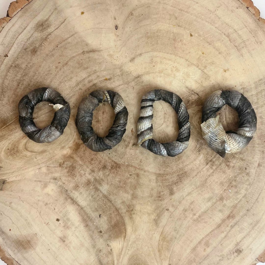 Fish donuts