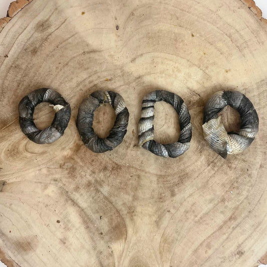 Fish donuts