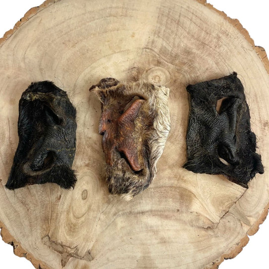 Hairy beef snouts