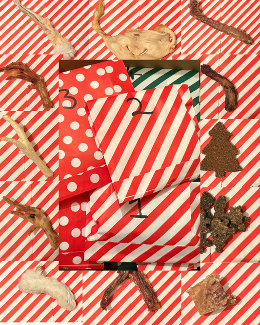 24 day budget advent calendar