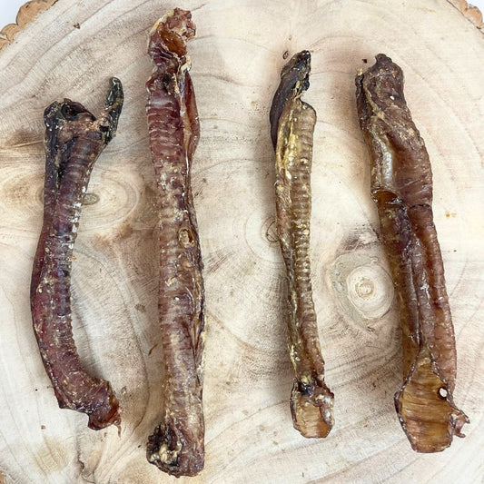 Lamb trachea